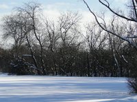 Midwestern Fall and Winter